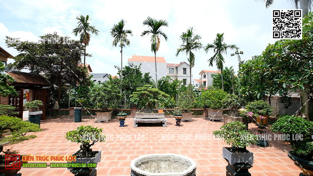 Trồng cây cau cảnh trước nhà