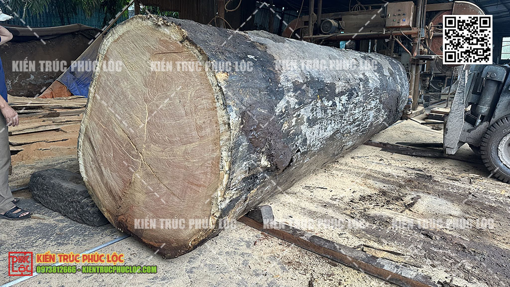 Quy trình kiểm định gỗ chuẩn giúp tránh mất tiền oan khi làm nhà