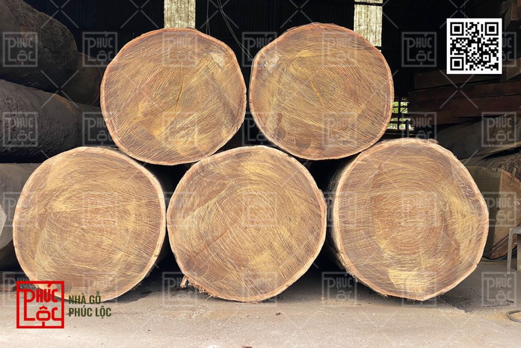 Kiểm tra chất lượng gỗ để phát hiện sớm khuyết tật
