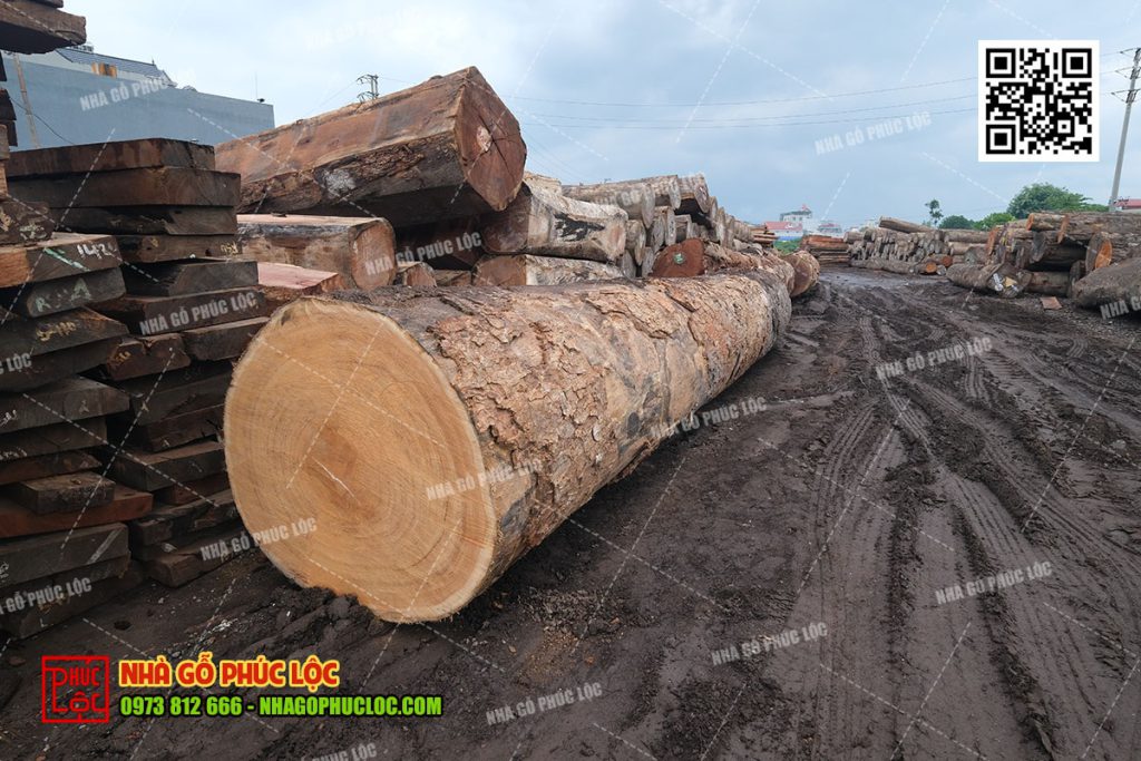 Những yếu tố cần kiểm soát khi xử lý gỗ làm nhà kẻ truyền