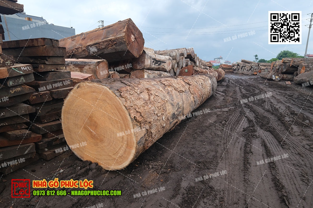 Những yếu tố cần kiểm soát khi xử lý gỗ làm nhà kẻ truyền